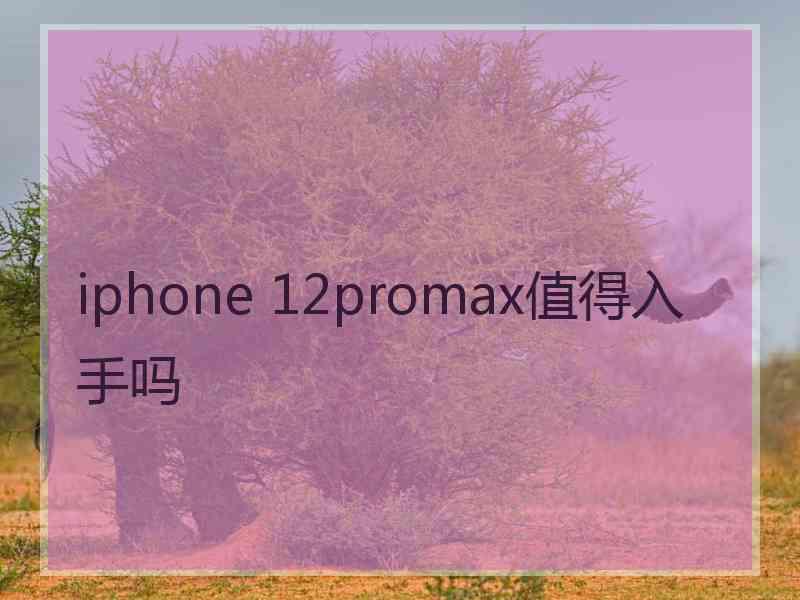 iphone 12promax值得入手吗