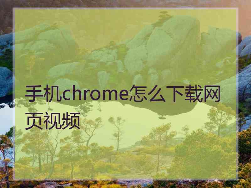 手机chrome怎么下载网页视频