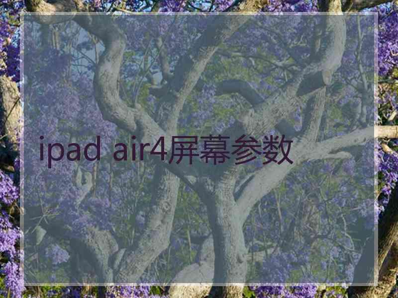 ipad air4屏幕参数