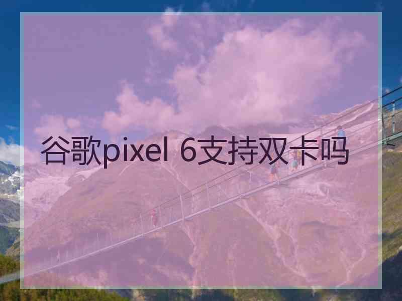 谷歌pixel 6支持双卡吗