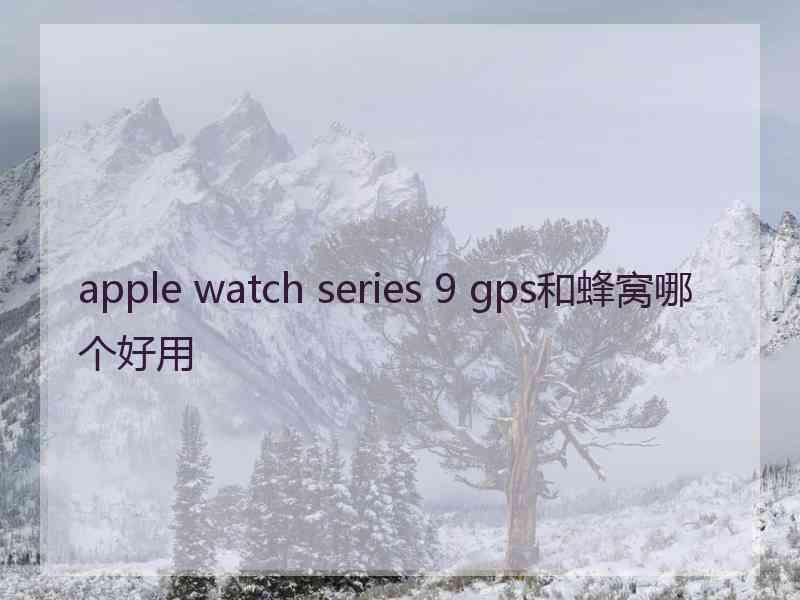 apple watch series 9 gps和蜂窝哪个好用