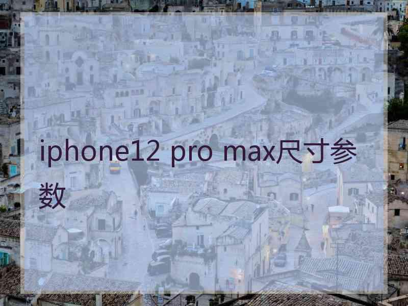 iphone12 pro max尺寸参数