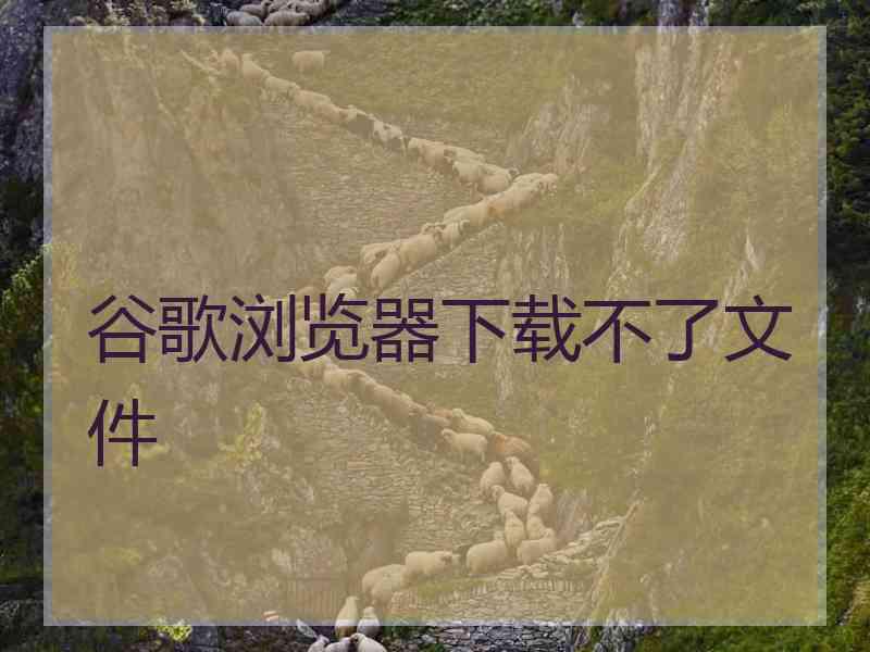 谷歌浏览器下载不了文件