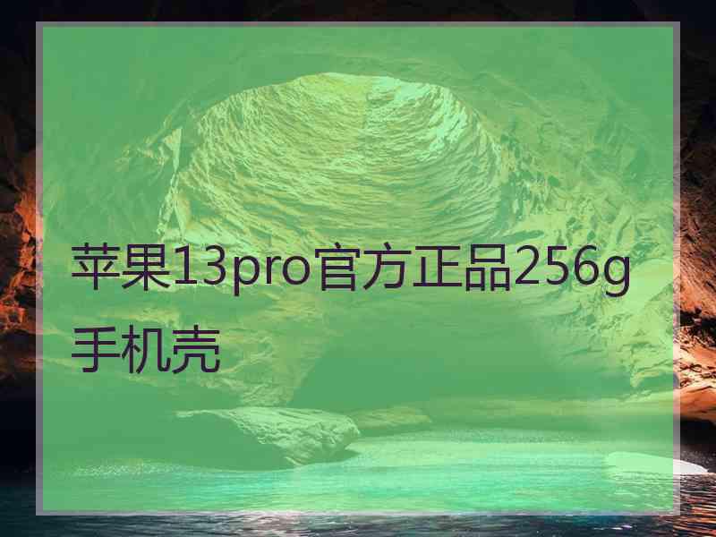 苹果13pro官方正品256g手机壳