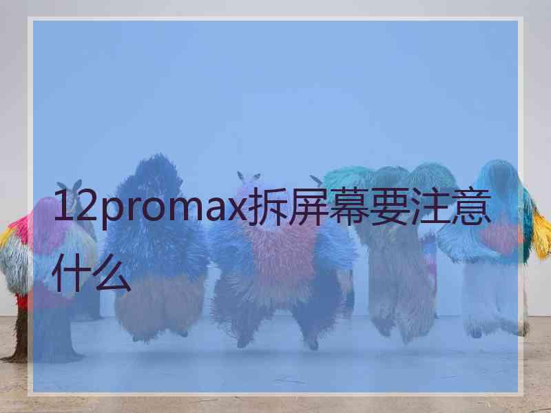 12promax拆屏幕要注意什么