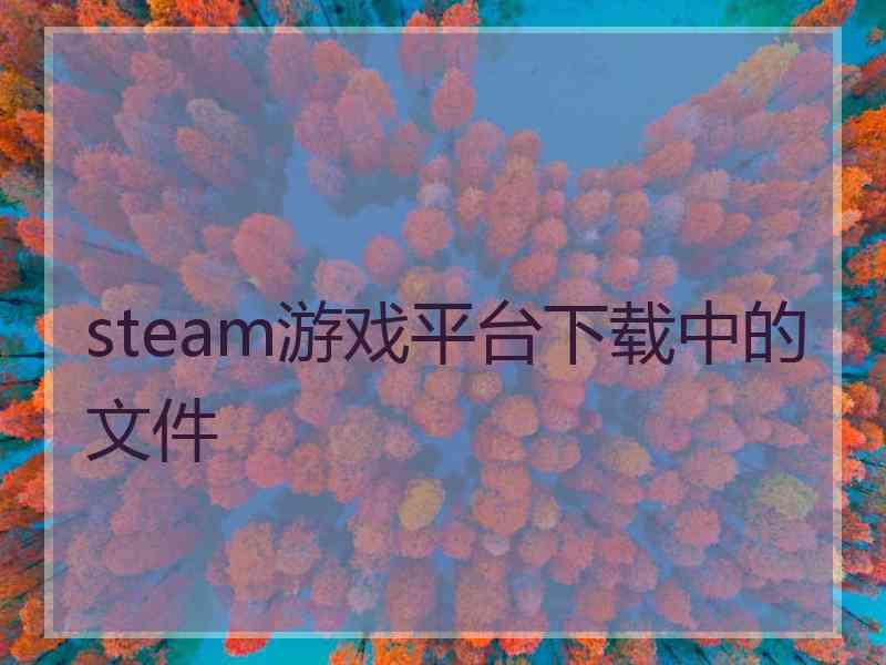 steam游戏平台下载中的文件