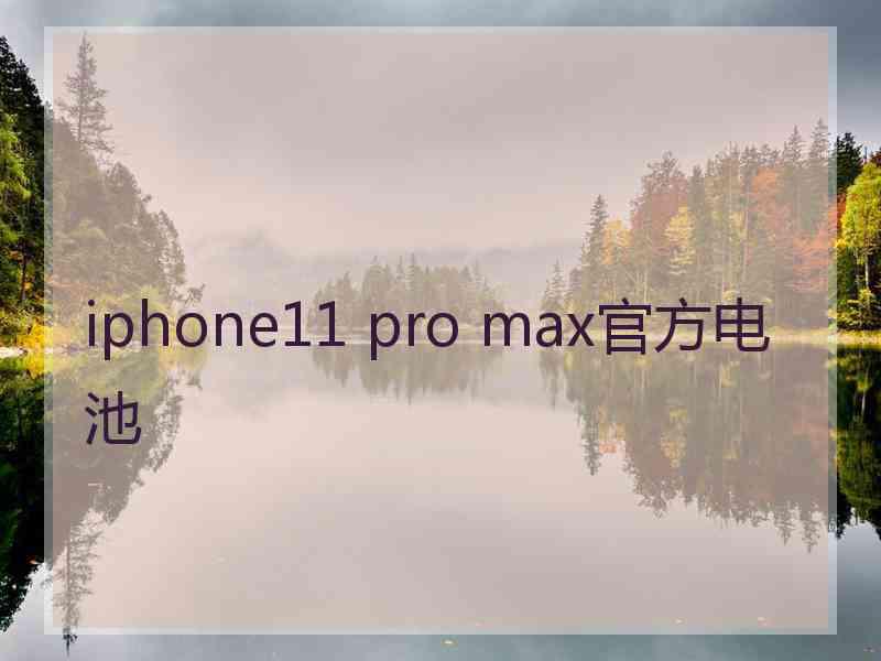 iphone11 pro max官方电池