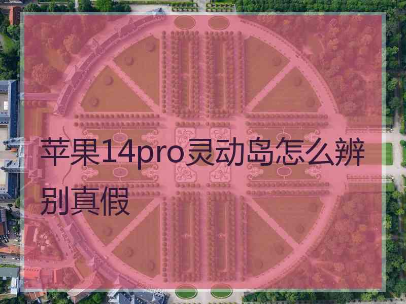 苹果14pro灵动岛怎么辨别真假