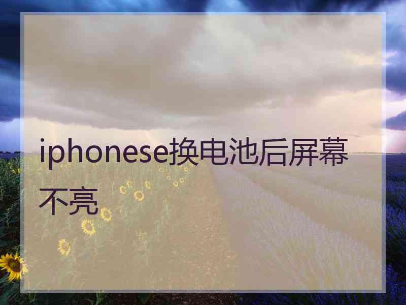 iphonese换电池后屏幕不亮