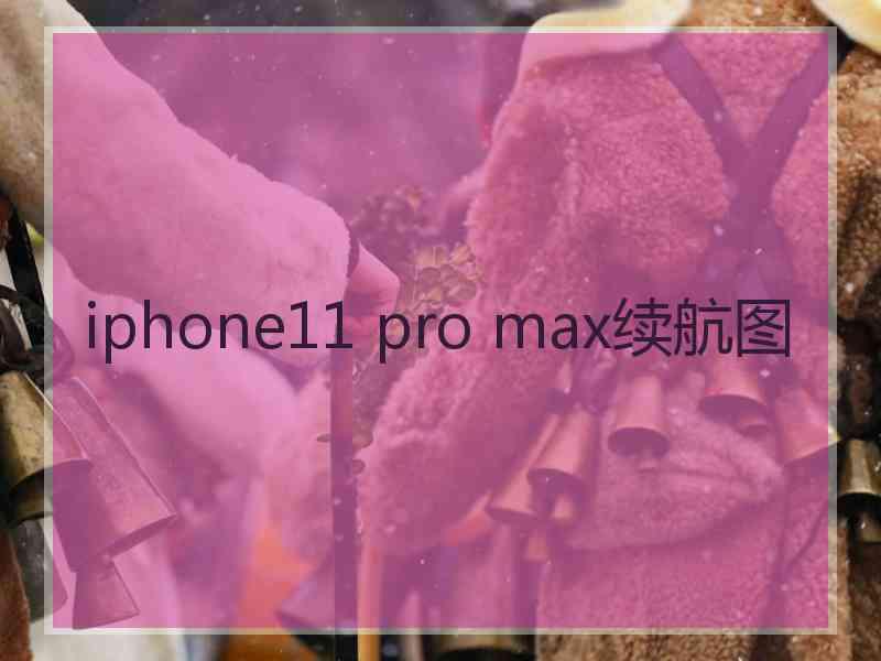 iphone11 pro max续航图