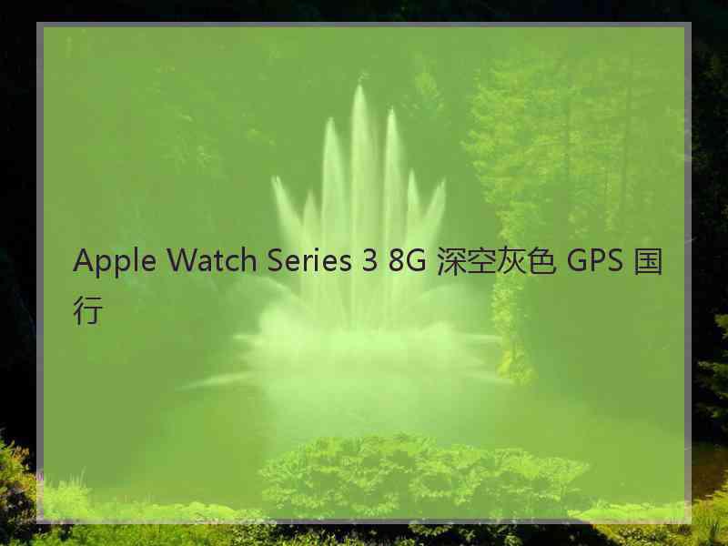 Apple Watch Series 3 8G 深空灰色 GPS 国行