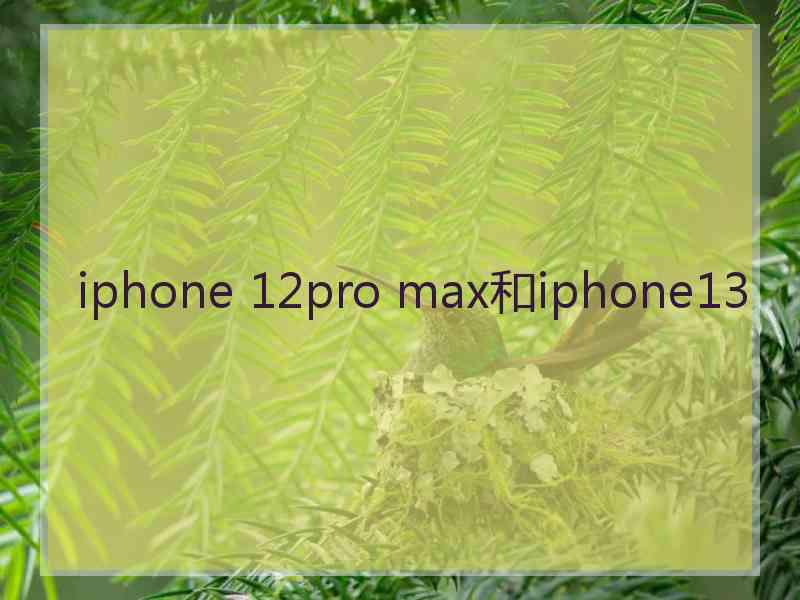 iphone 12pro max和iphone13