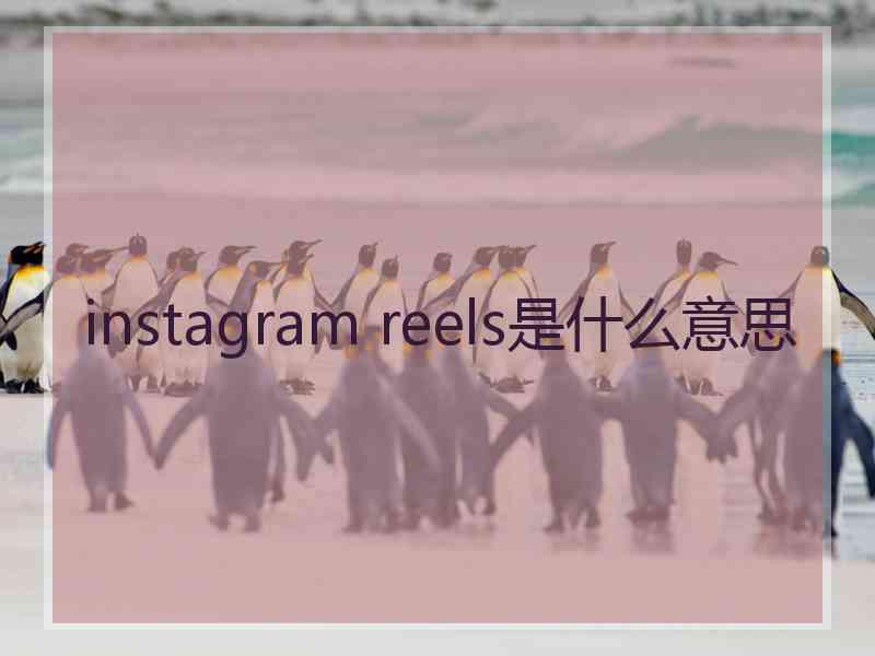 instagram reels是什么意思