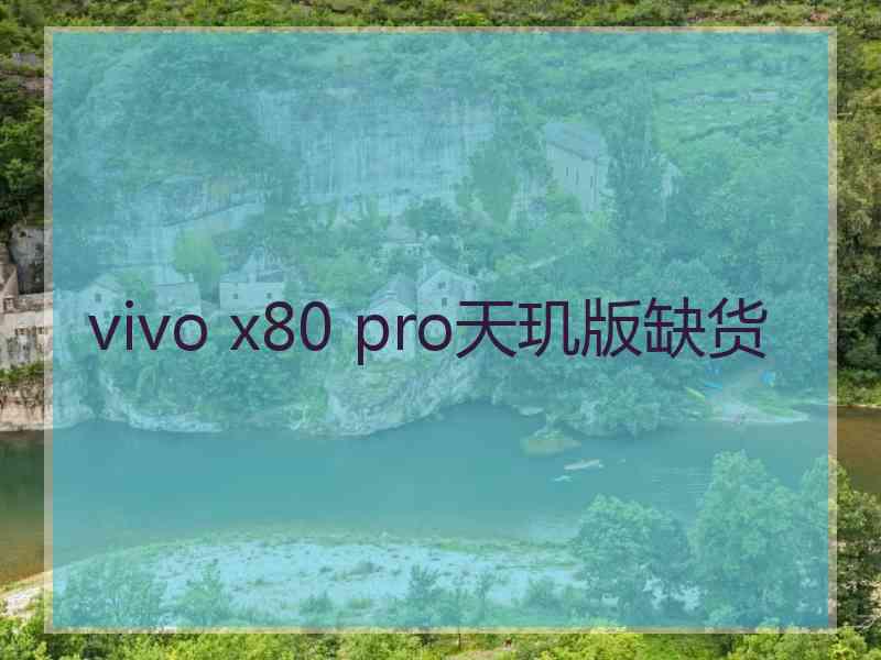 vivo x80 pro天玑版缺货