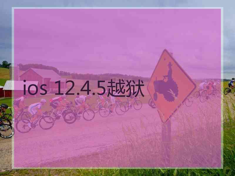 ios 12.4.5越狱