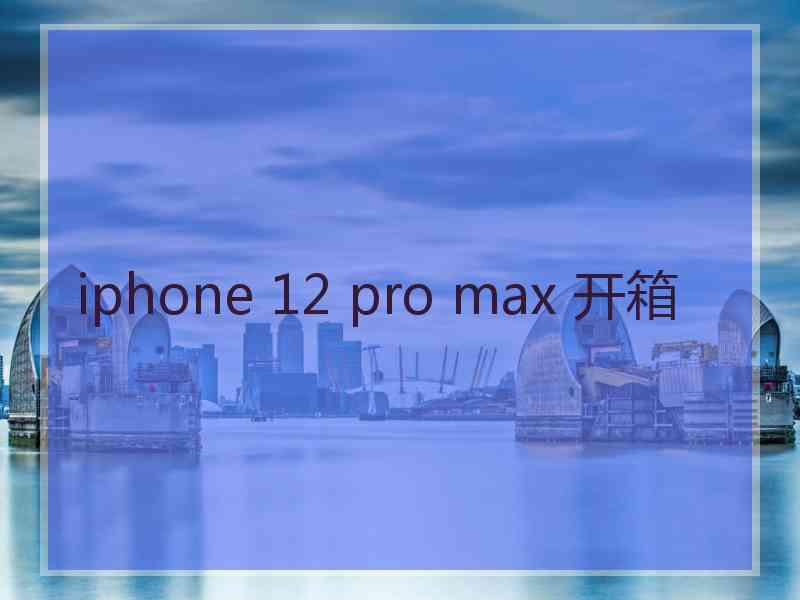 iphone 12 pro max 开箱