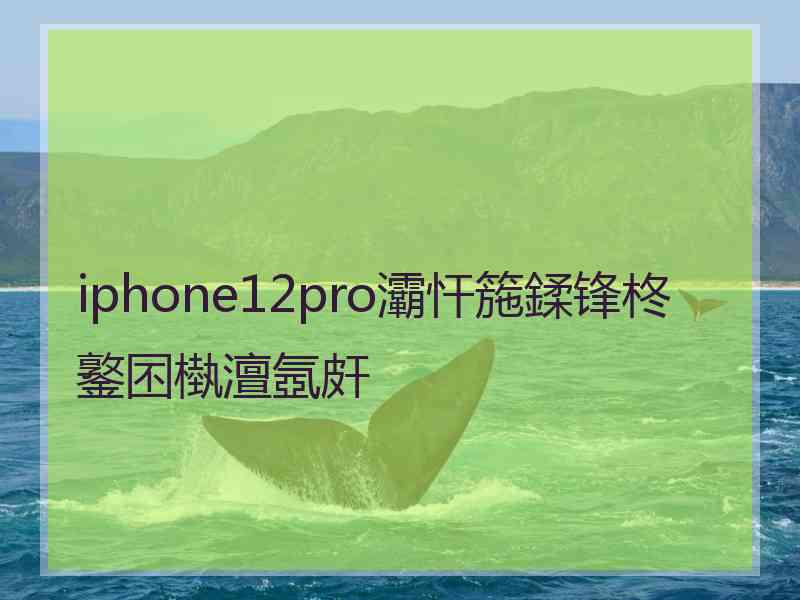 iphone12pro灞忓箷鍒锋柊鐜囨槸澶氬皯