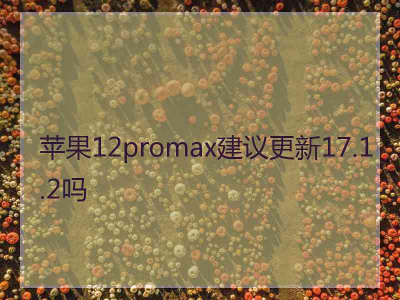 苹果12promax建议更新17.1.2吗