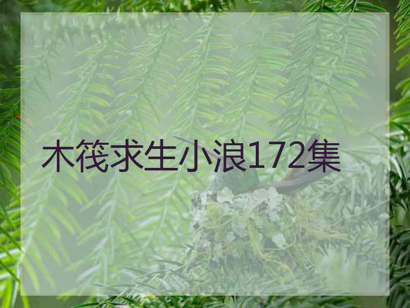 木筏求生小浪172集