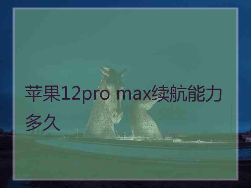 苹果12pro max续航能力多久