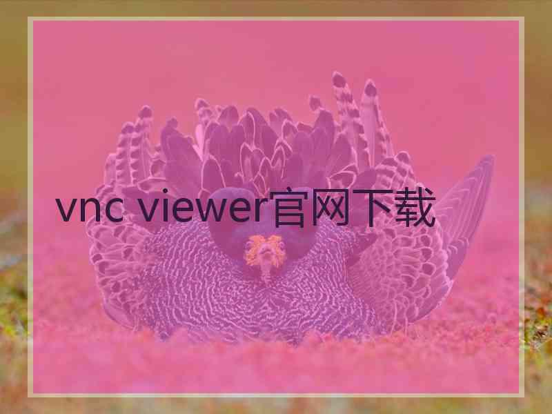 vnc viewer官网下载