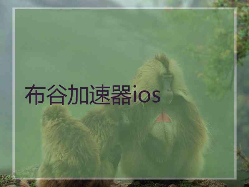 布谷加速器ios