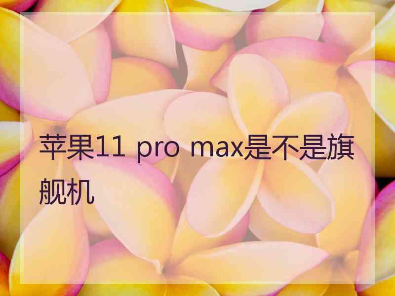 苹果11 pro max是不是旗舰机