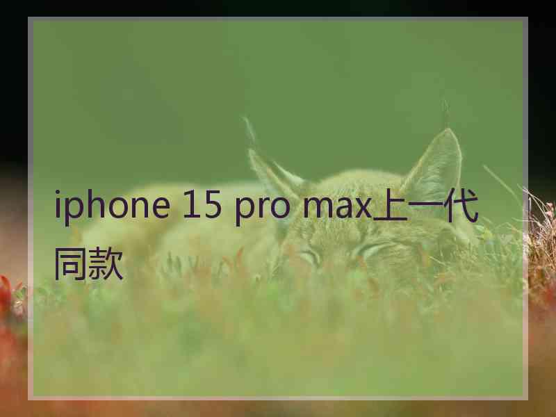 iphone 15 pro max上一代同款