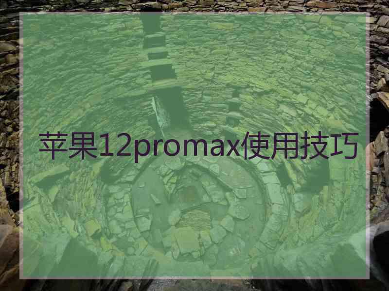 苹果12promax使用技巧