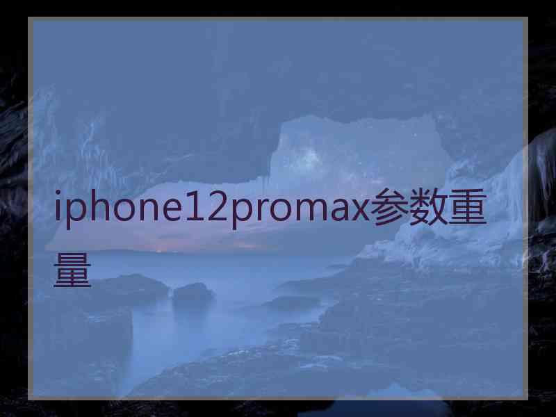 iphone12promax参数重量