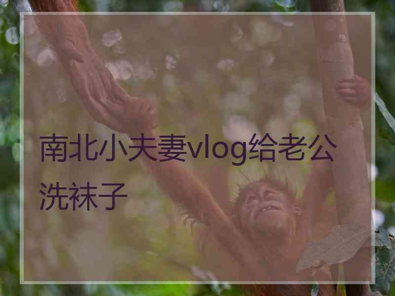 南北小夫妻vlog给老公洗袜子