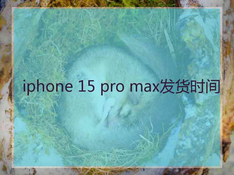 iphone 15 pro max发货时间