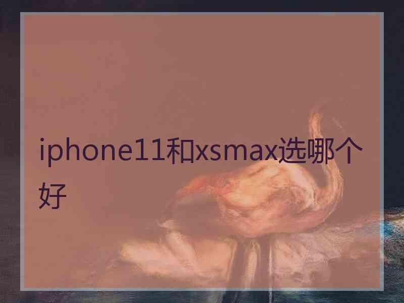 iphone11和xsmax选哪个好