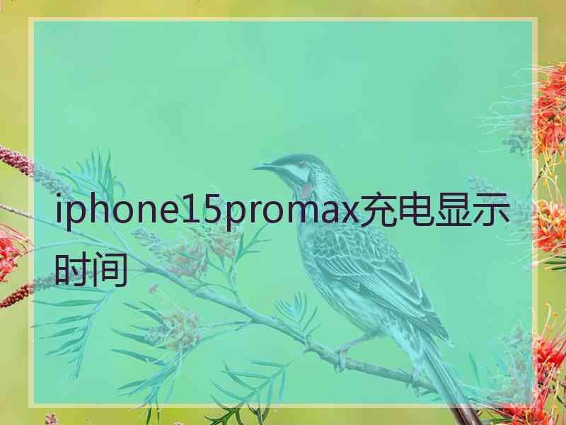 iphone15promax充电显示时间