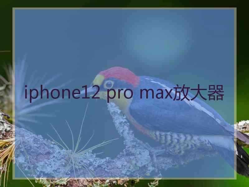 iphone12 pro max放大器