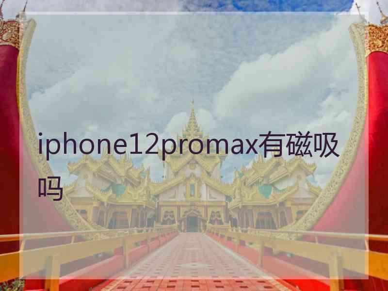 iphone12promax有磁吸吗