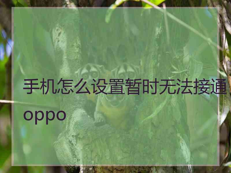 手机怎么设置暂时无法接通oppo