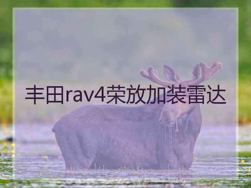 丰田rav4荣放加装雷达