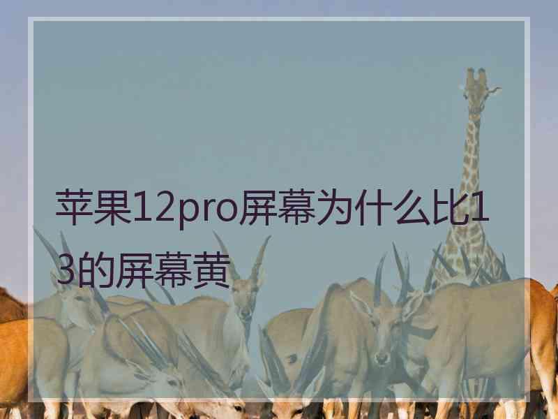 苹果12pro屏幕为什么比13的屏幕黄