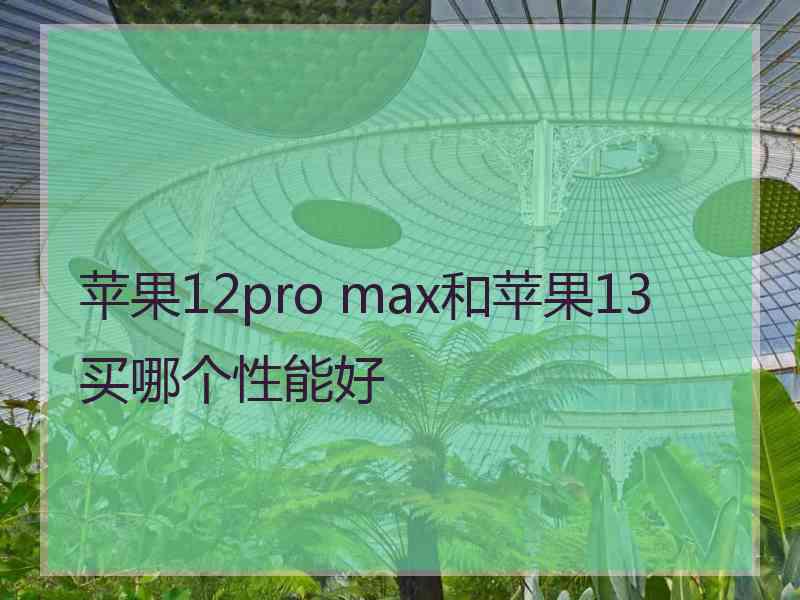 苹果12pro max和苹果13买哪个性能好