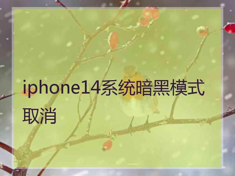 iphone14系统暗黑模式取消