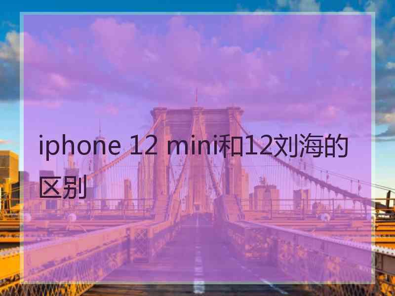 iphone 12 mini和12刘海的区别