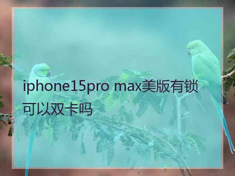 iphone15pro max美版有锁可以双卡吗