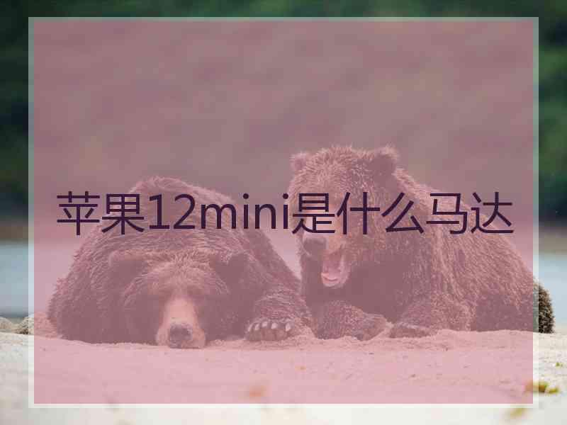 苹果12mini是什么马达