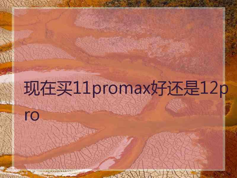 现在买11promax好还是12pro