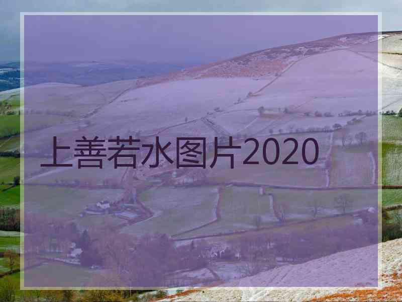 上善若水图片2020