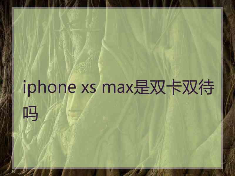 iphone xs max是双卡双待吗