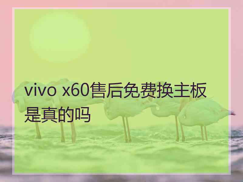 vivo x60售后免费换主板是真的吗