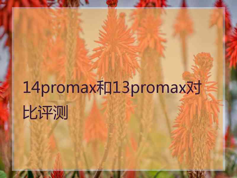 14promax和13promax对比评测