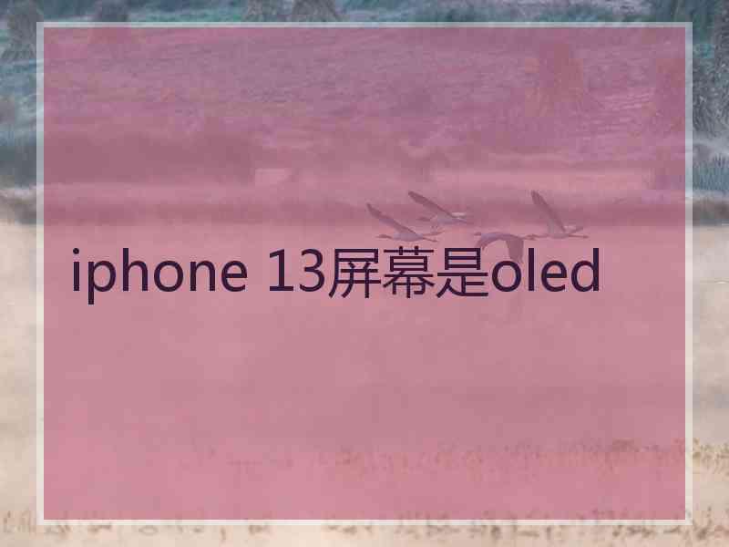 iphone 13屏幕是oled